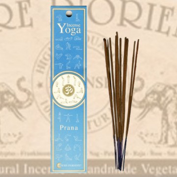 Jogos smilkalai PRANA, Fiore D'Oriente, 12 g, 8 vnt. Jogos smilkalai PRANA, Fiore D'Oriente, 12 g, 8 vnt.